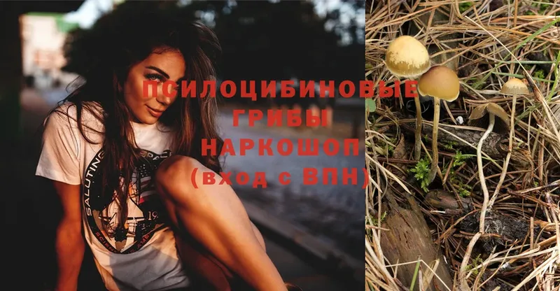 Псилоцибиновые грибы Magic Shrooms  Вилюйск 